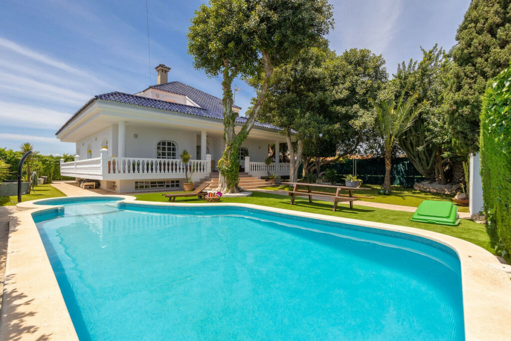 Detached Villa Torrevieja Alicante - image 2