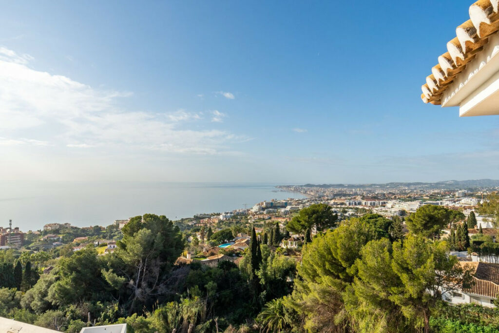 Detached Villa Benalmadena Málaga - image 2
