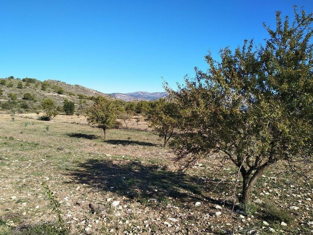 Land Relleu Alicante - image 2