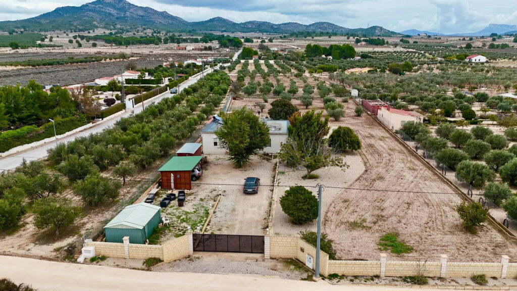 Detached Villa Salinas Alicante - image 2