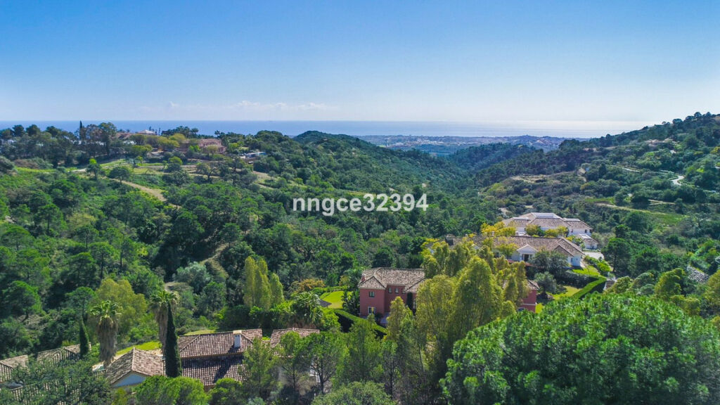Detached Villa La Zagaleta Málaga - image 2