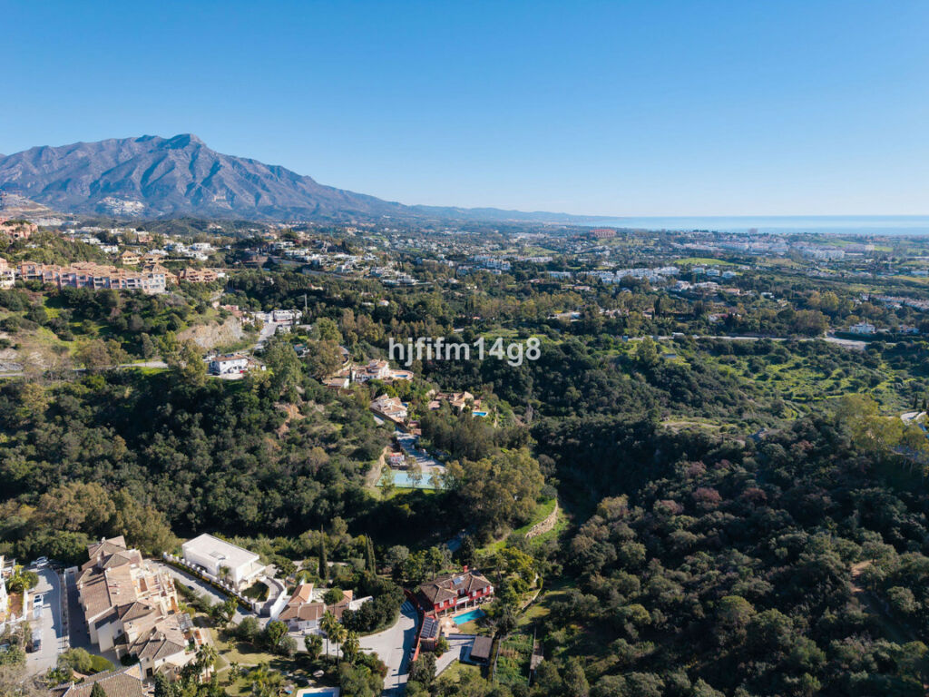 Detached Villa Benahavís Málaga - image 2