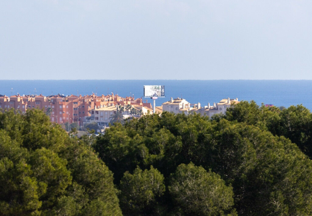 Detached Villa Las Ramblas Golf Alicante - image 2