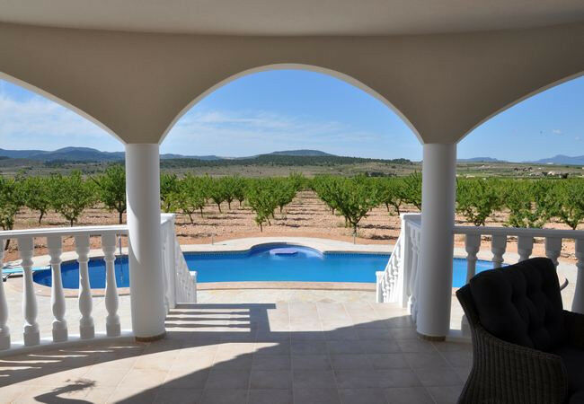Detached Villa Aspe Alicante - image 2