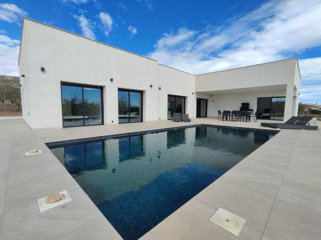 Detached Villa Aspe Alicante - image 2