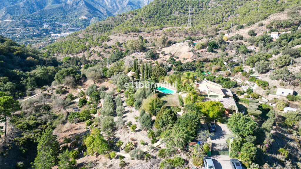 Finca - Cortijo Ojén Málaga - image 19