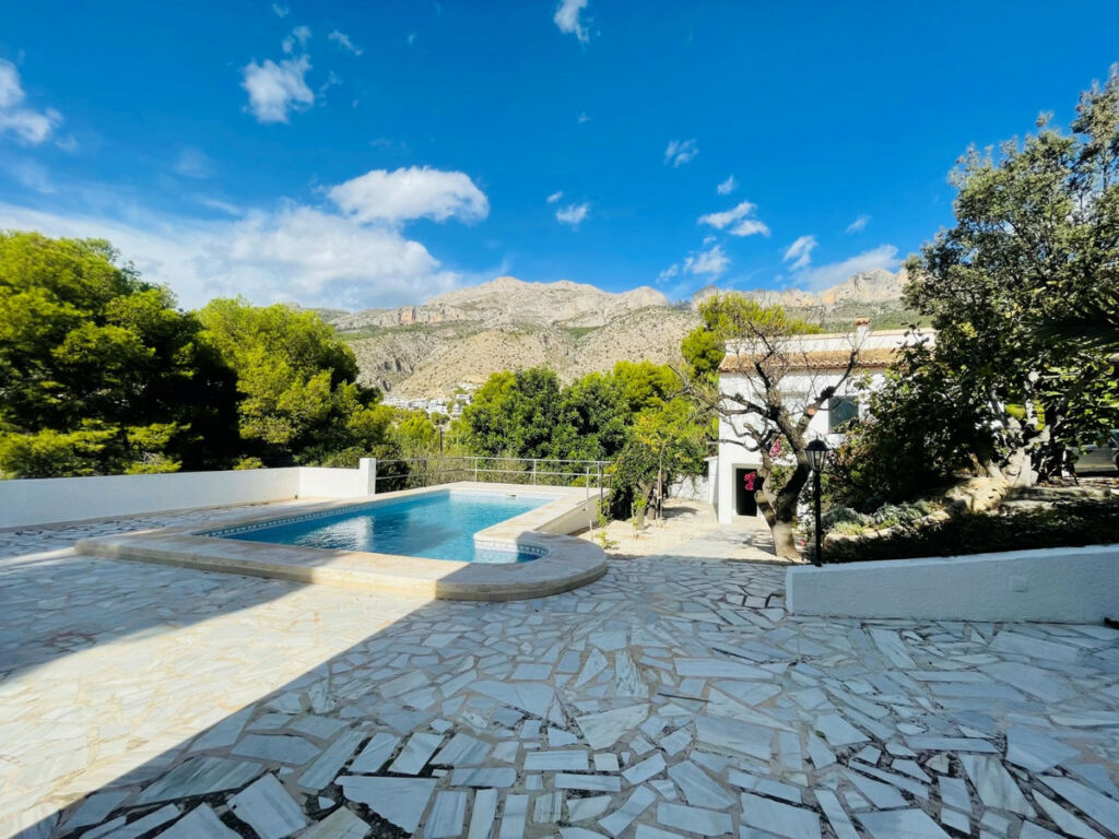 Detached Villa Altea Alicante - image 21