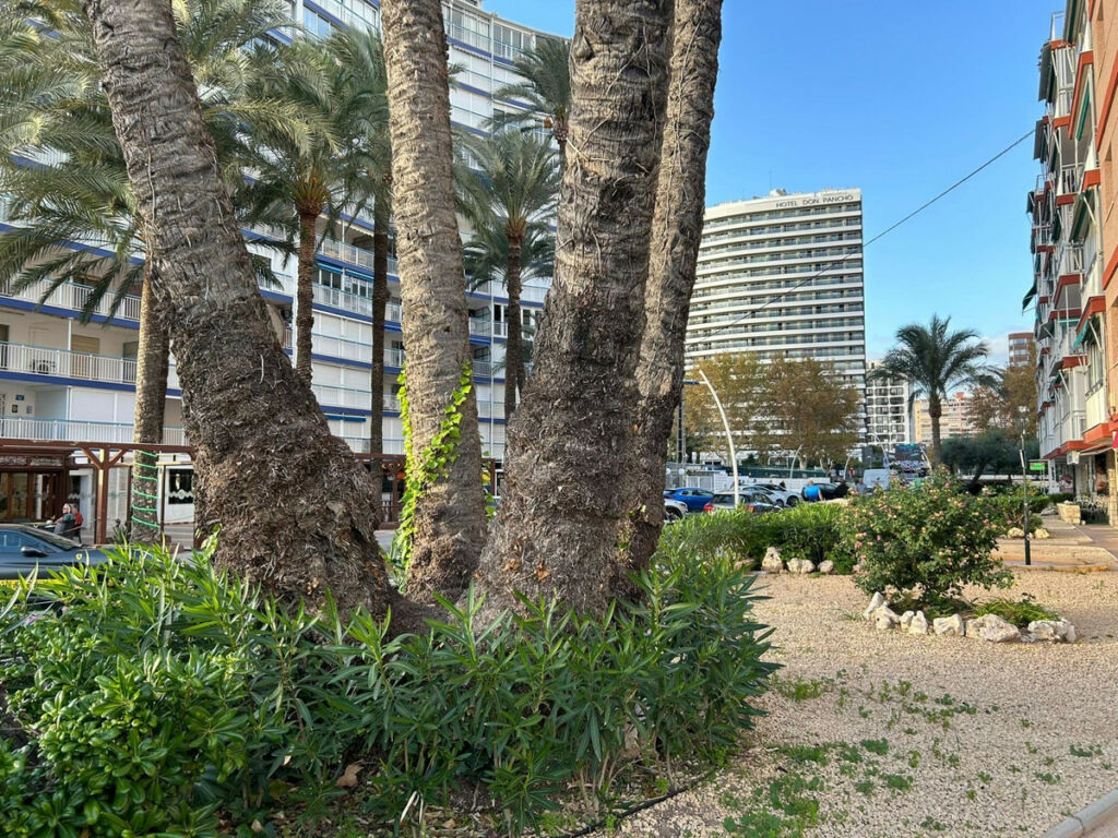 Middle Floor Apartment Benidorm Alicante - image 21