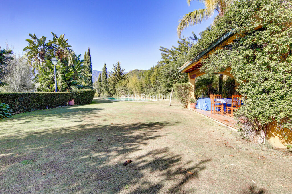 Finca - Cortijo Ojén Málaga - image 20
