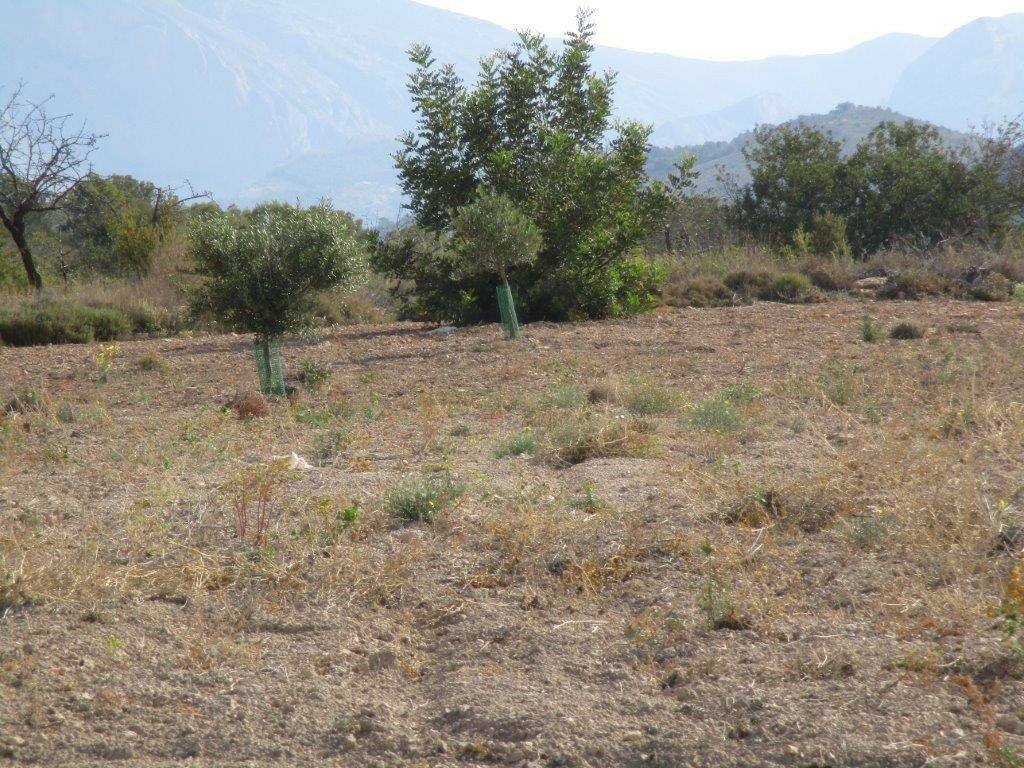 Land Relleu Alicante - image 22