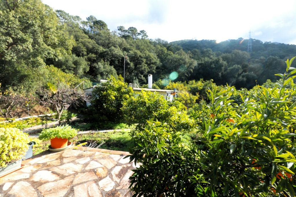 Finca - Cortijo Istán Málaga - image 23