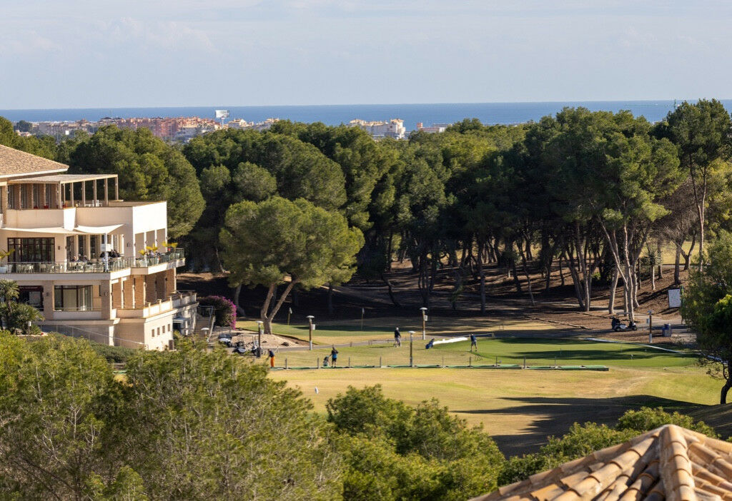 Detached Villa Las Ramblas Golf Alicante - image 23