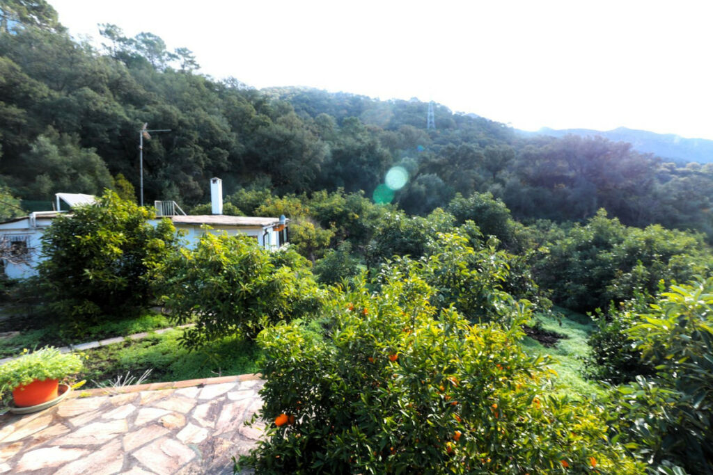 Finca - Cortijo Istán Málaga - image 26