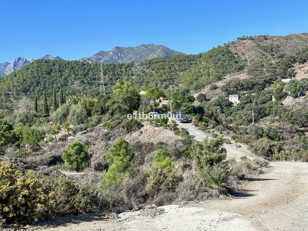 Finca - Cortijo Ojén Málaga - image 25