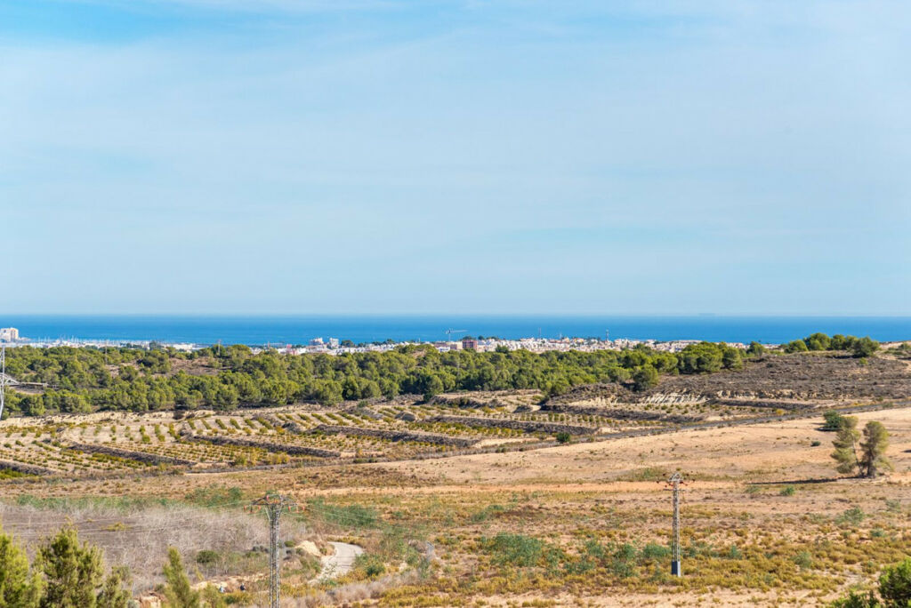 Detached Villa San Miguel de Salinas Alicante - image 26