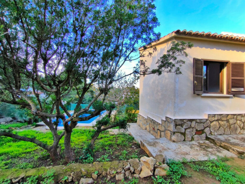 Detached Villa Denia Alicante - image 27