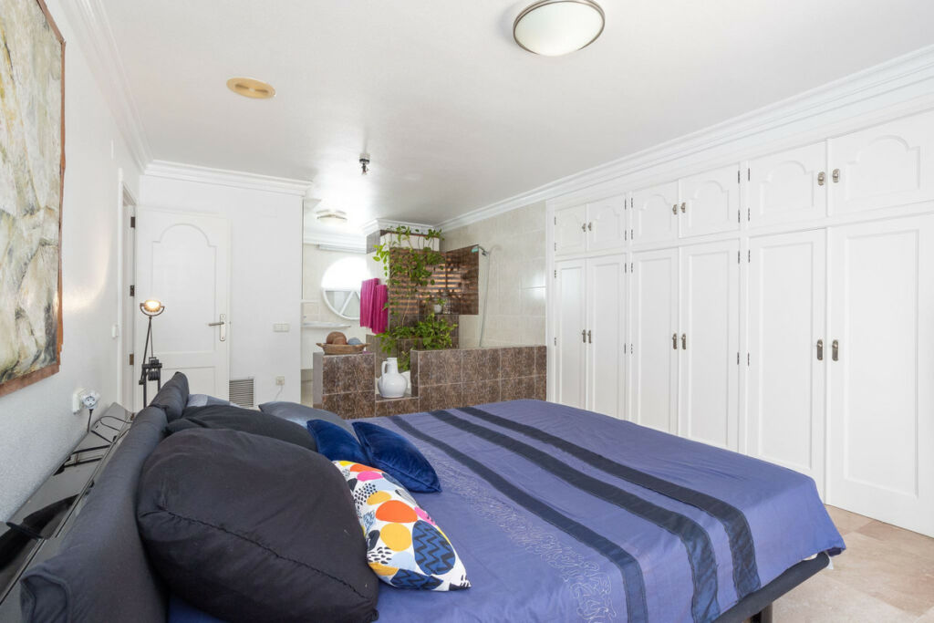Detached Villa Torrevieja Alicante - image 28