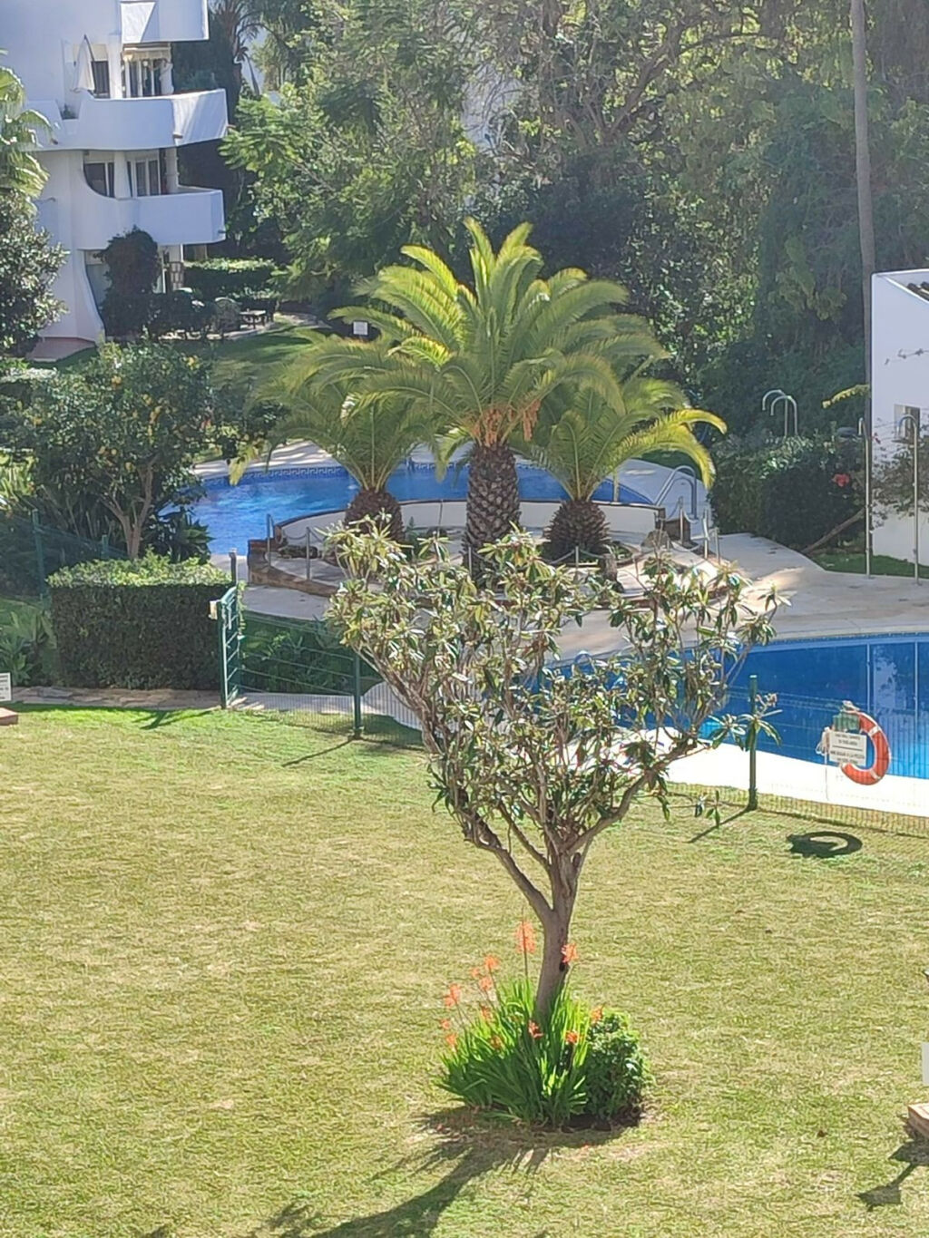 Duplex Calahonda Málaga - image 27