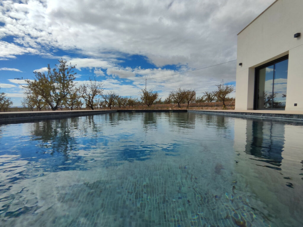 Detached Villa Aspe Alicante - image 29