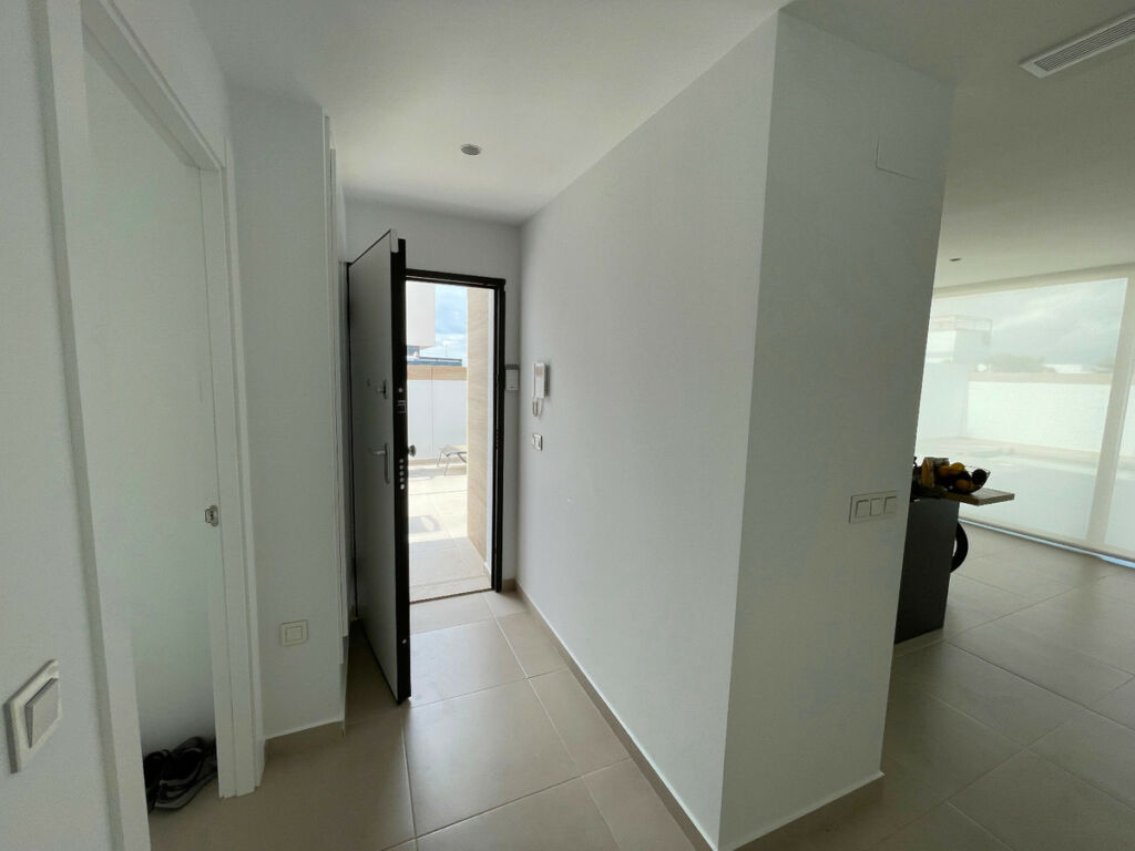 Detached Villa Benijofar Alicante - image 3