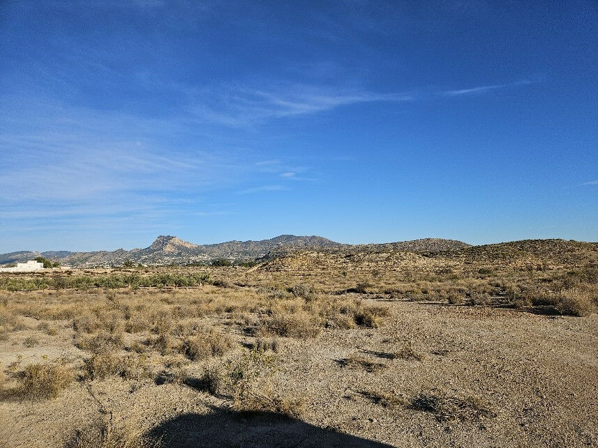 Land Elda Alicante - image 3