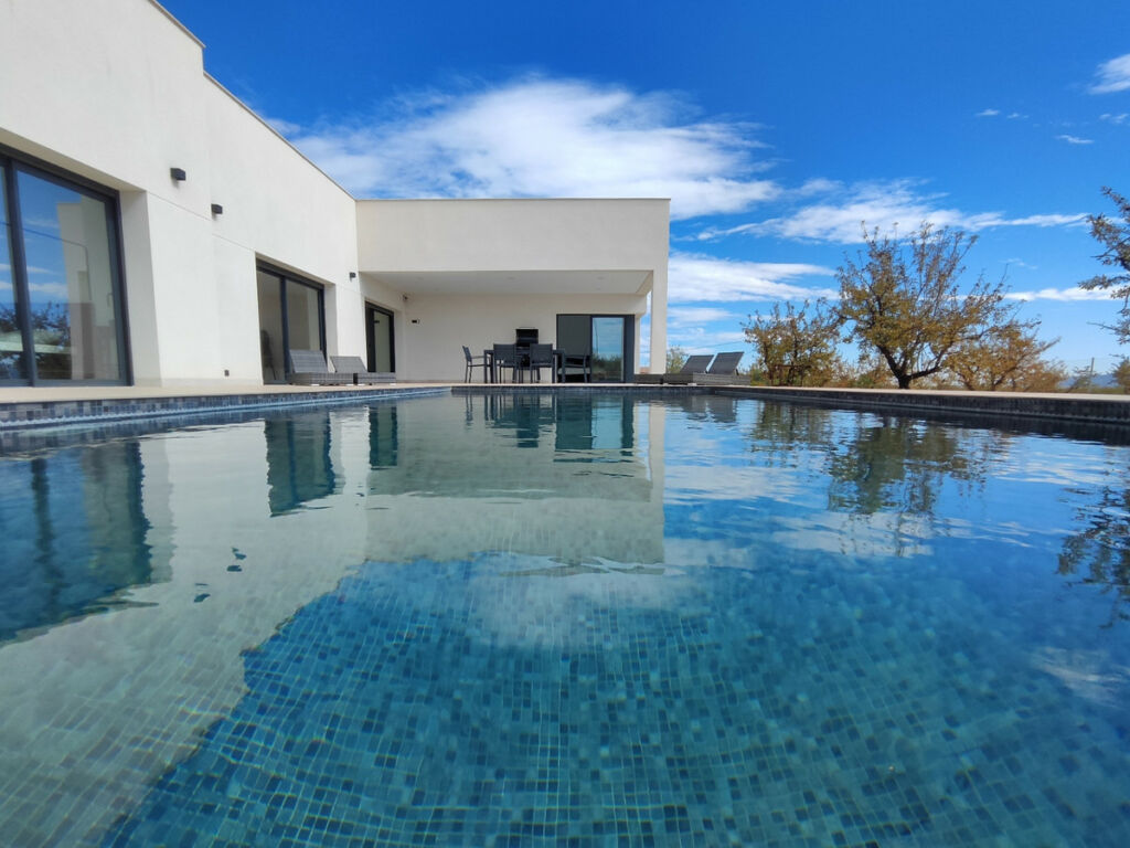 Detached Villa Aspe Alicante - image 3
