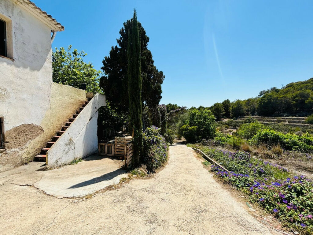 Detached Villa Altea Alicante - image 3