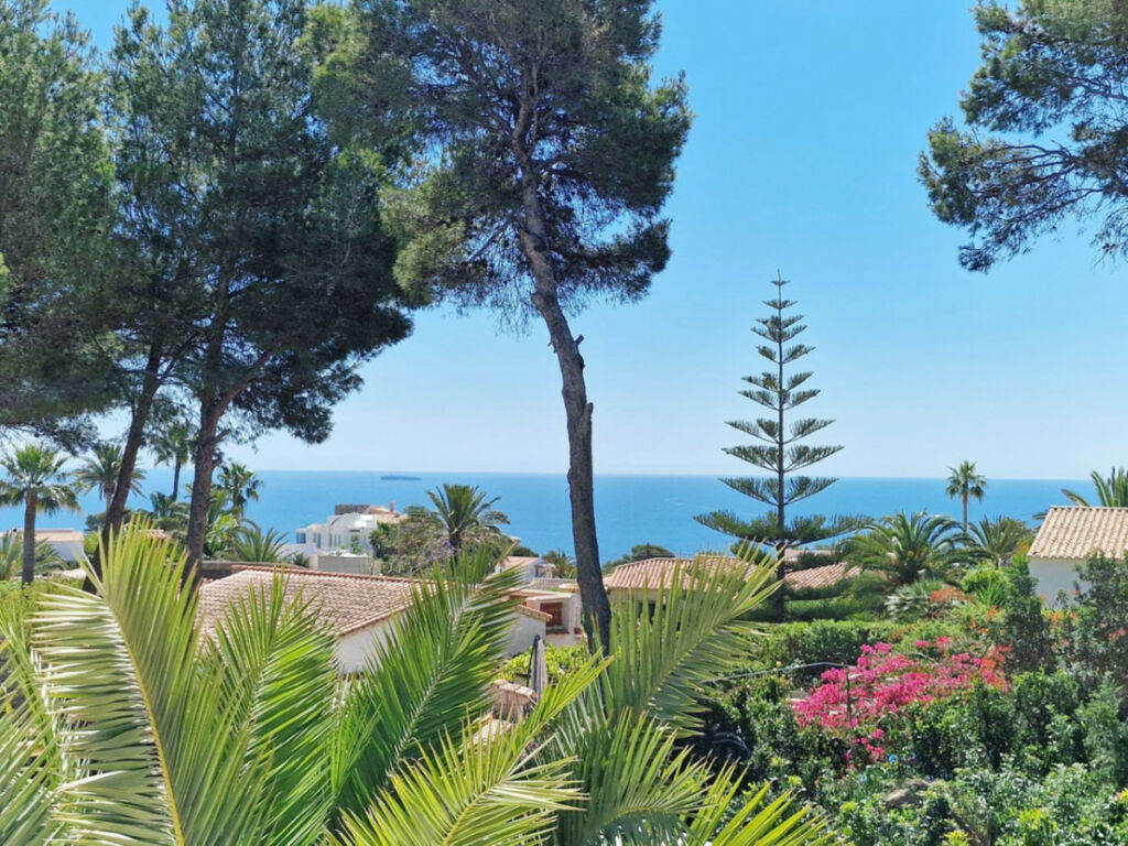 Detached Villa Javea Alicante - image 3