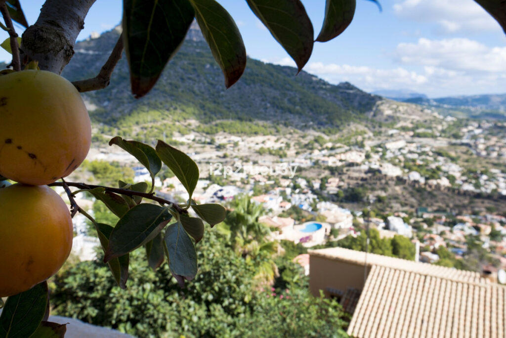 Detached Villa Calpe Alicante - image 30