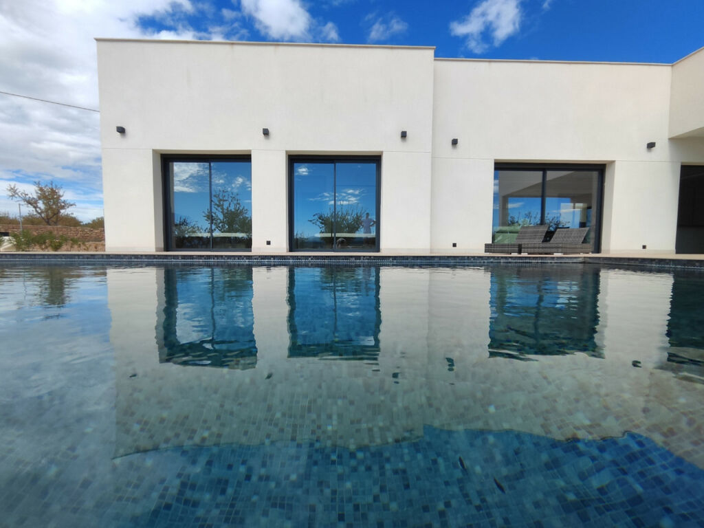 Detached Villa Aspe Alicante - image 30