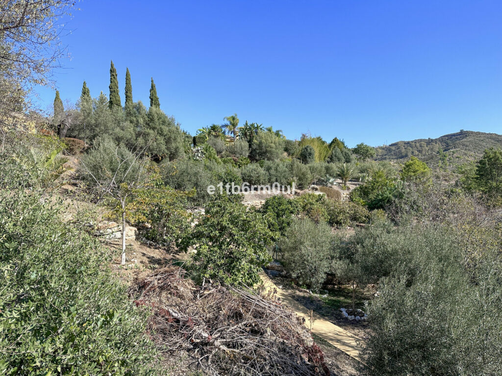 Finca - Cortijo Ojén Málaga - image 30