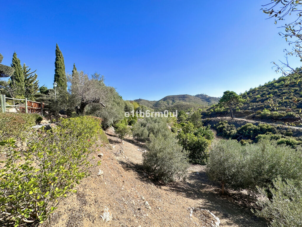 Finca - Cortijo Ojén Málaga - image 31