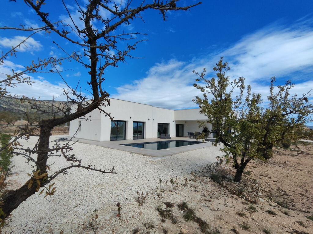 Detached Villa Aspe Alicante - image 32