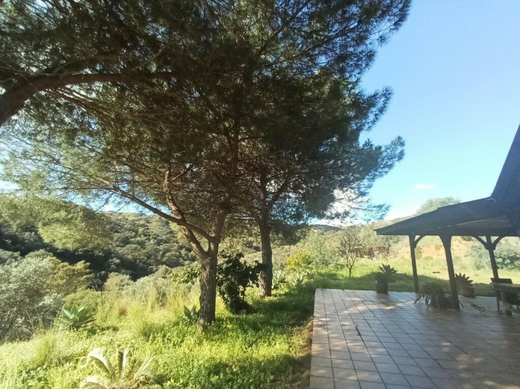 Finca - Cortijo La Cala Golf Málaga - image 33