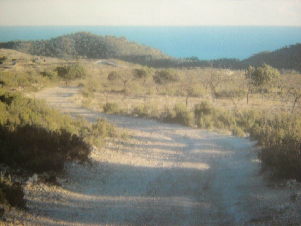 Land Relleu Alicante - image 33
