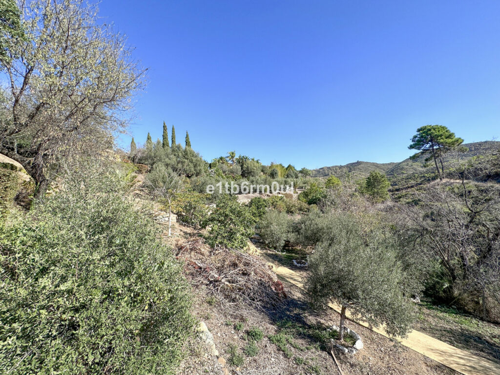 Finca - Cortijo Ojén Málaga - image 32