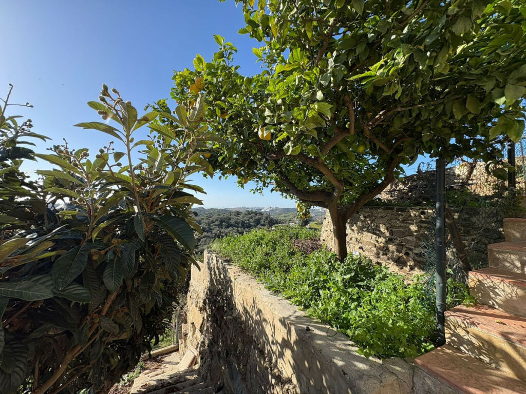 Detached Villa La Cala de Mijas Málaga - image 34