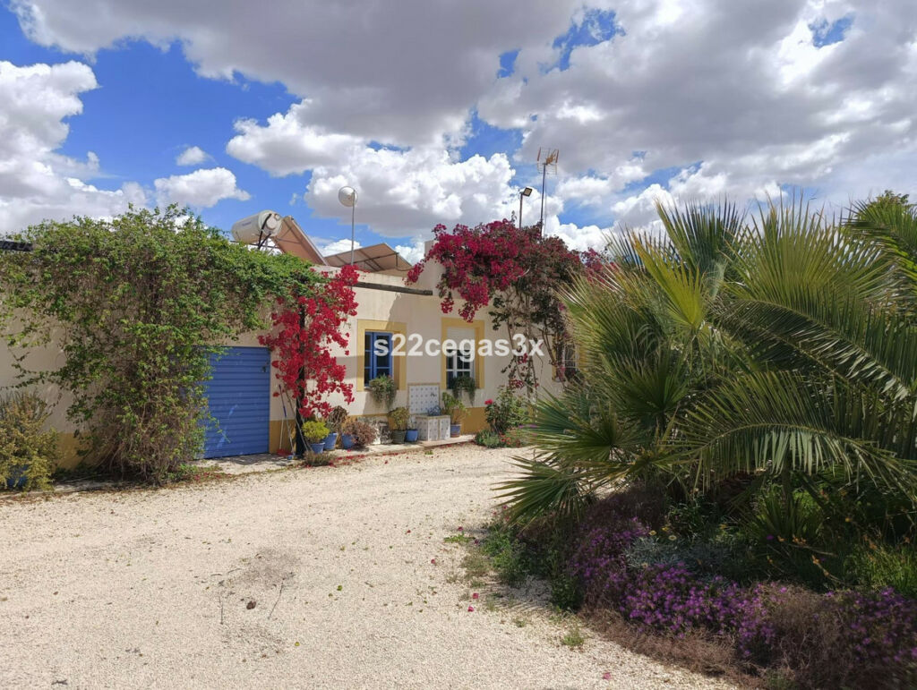 Finca - Cortijo Matola Alicante - image 35