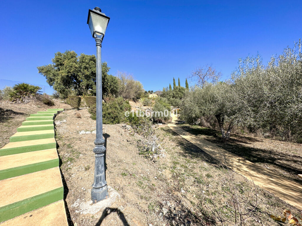 Finca - Cortijo Ojén Málaga - image 35