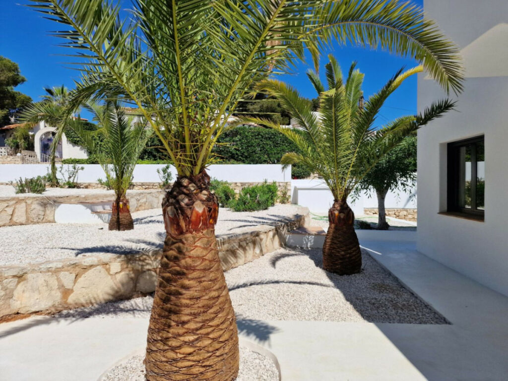 Detached Villa Javea Alicante - image 37