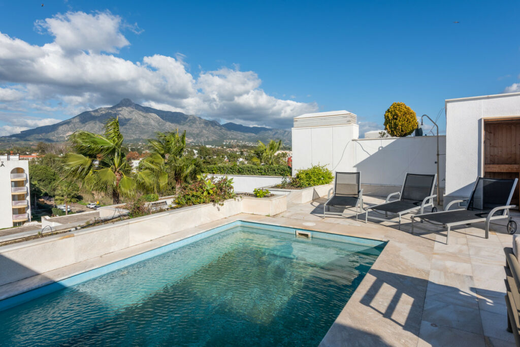 Penthouse Puerto Banús Málaga - image 39