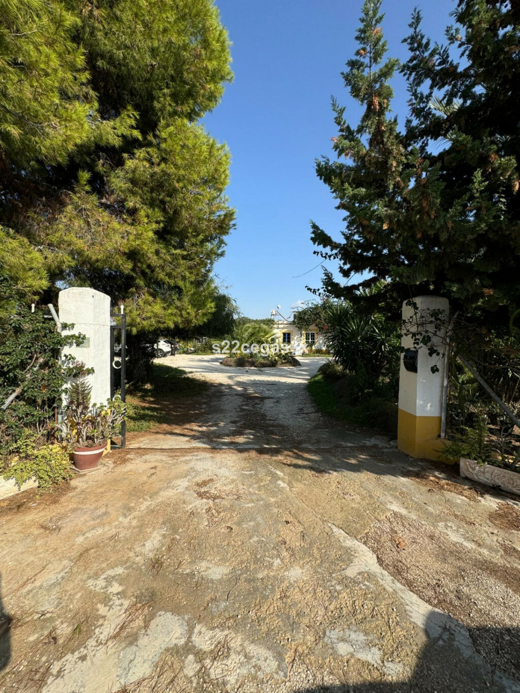 Finca - Cortijo Matola Alicante - image 39