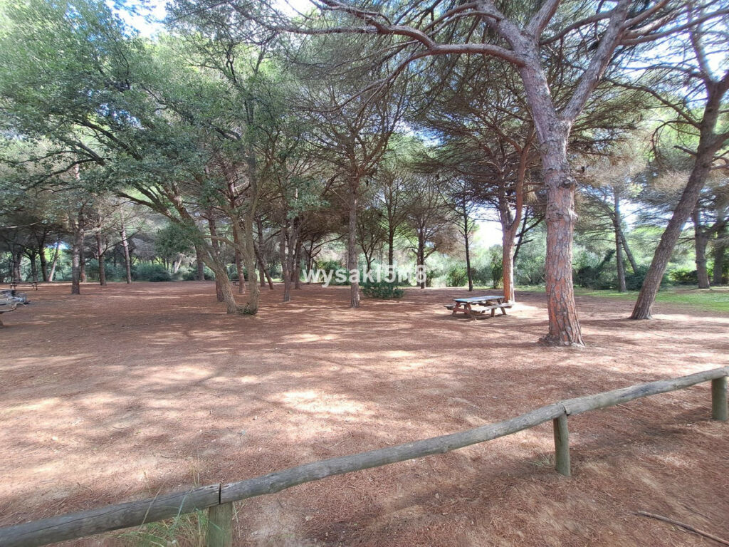 Land San Roque Cádiz - image 41