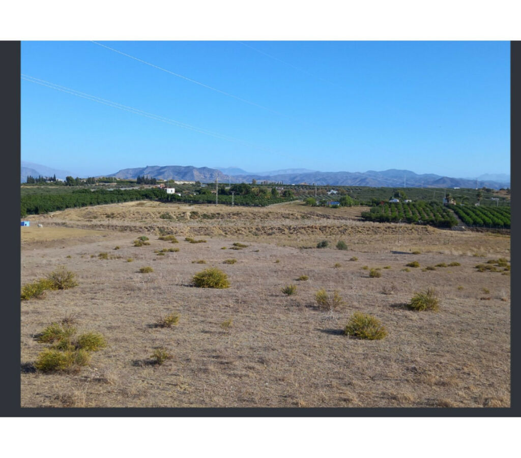 Residential Plot Coín Málaga - image 4