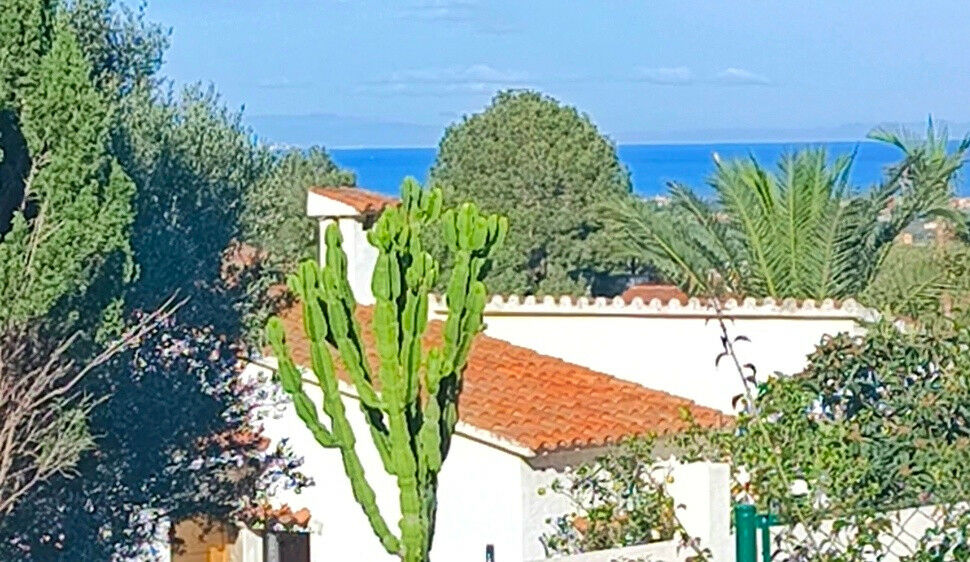 Detached Villa Denia Alicante - image 4