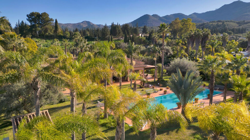 Finca - Cortijo Alhaurín de la Torre Málaga - image 4