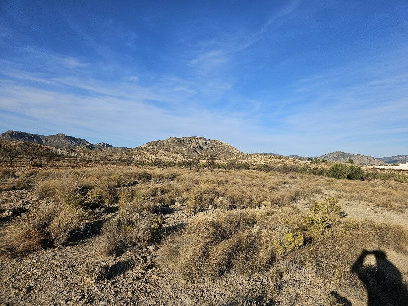 Land Elda Alicante - image 4