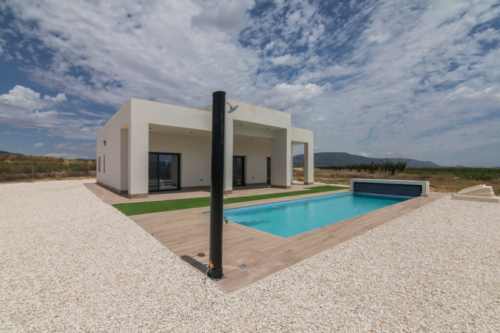 Detached Villa Aspe Alicante - image 40