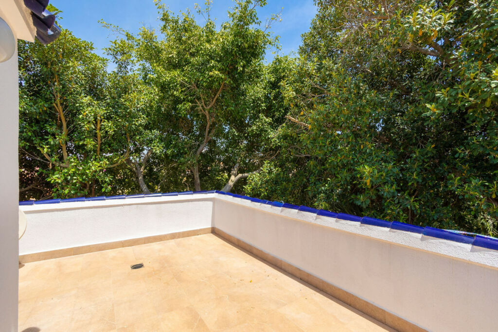 Detached Villa Torrevieja Alicante - image 40