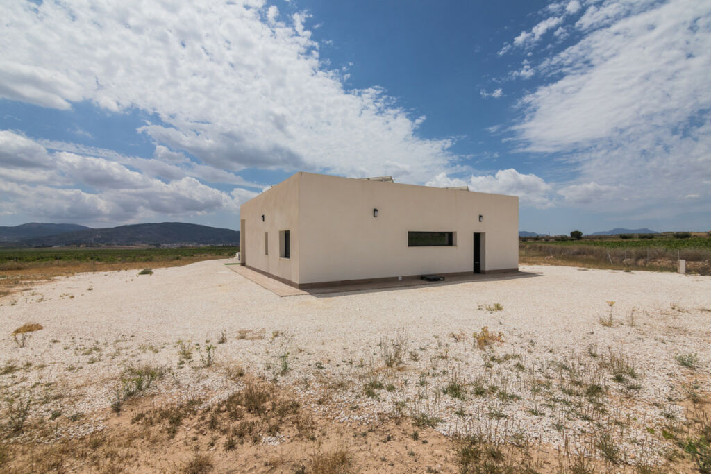 Detached Villa Aspe Alicante - image 42